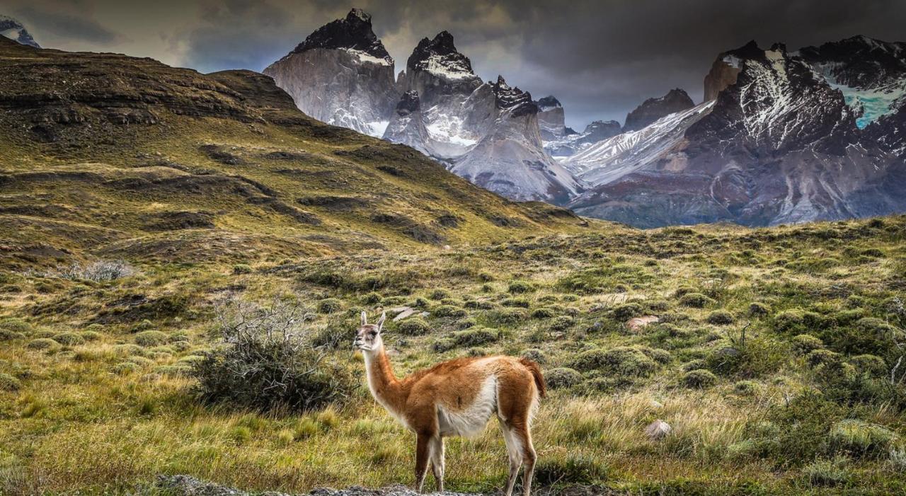 Rio Serrano Hotel + Spa Torres del Paine National Park Exterior photo